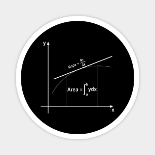 slope of the curve and integral area Magnet